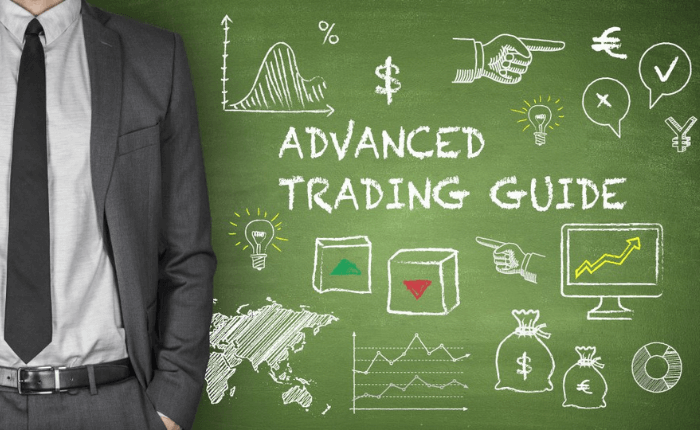 The Pro Trader’s Blueprint: Advanced Forex Trading Course