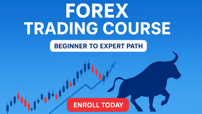 Forex Trading Course