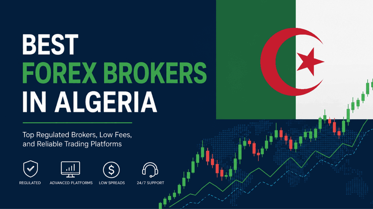 Best Forex Brokers in Algeria