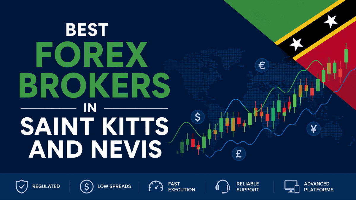 Best Forex Brokers in Saint Kitts and Nevis